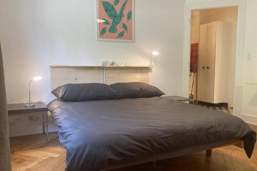 Appartement 2 Pieces Au Centre De لوزان المظهر الخارجي الصورة